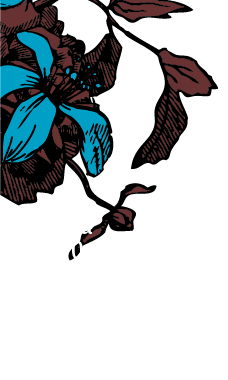 avoinna ark. 10-18, la 10-15, fredrikinkatu 24, 00120 helsinki, puh. (09) 604 881, email: paivi@boutiquedeb.fi